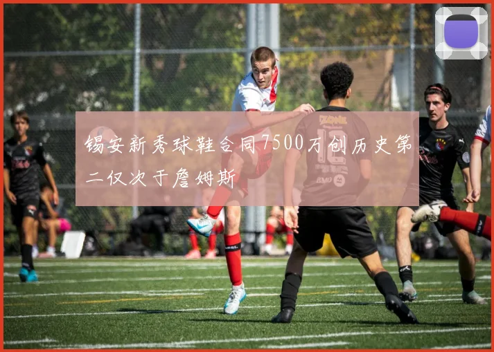 锡安新秀球鞋合同7500万创历史第二仅次于詹姆斯
