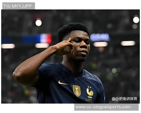 冰岛主帅回应德尚质疑称首个进球无犯规强调首回合对科纳特也未犯规