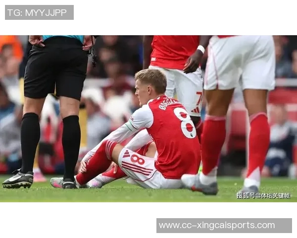 厄德高随挪威队出征继续康复治疗在场外全力支持国家队