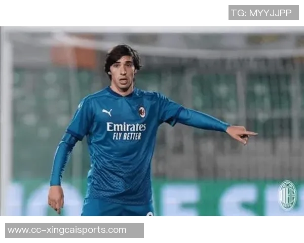 恰尔汗奥卢坚定信念土耳其队全力以赴争取世界杯晋级目标